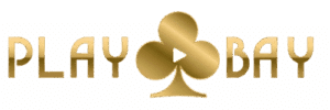 playbay logo
